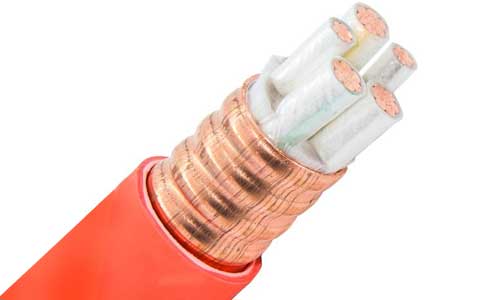<a href='http://www.mrpj.cn/kuangwuzhidianlan/' target='_blank'><u>礦物質(zhì)電纜</u></a>